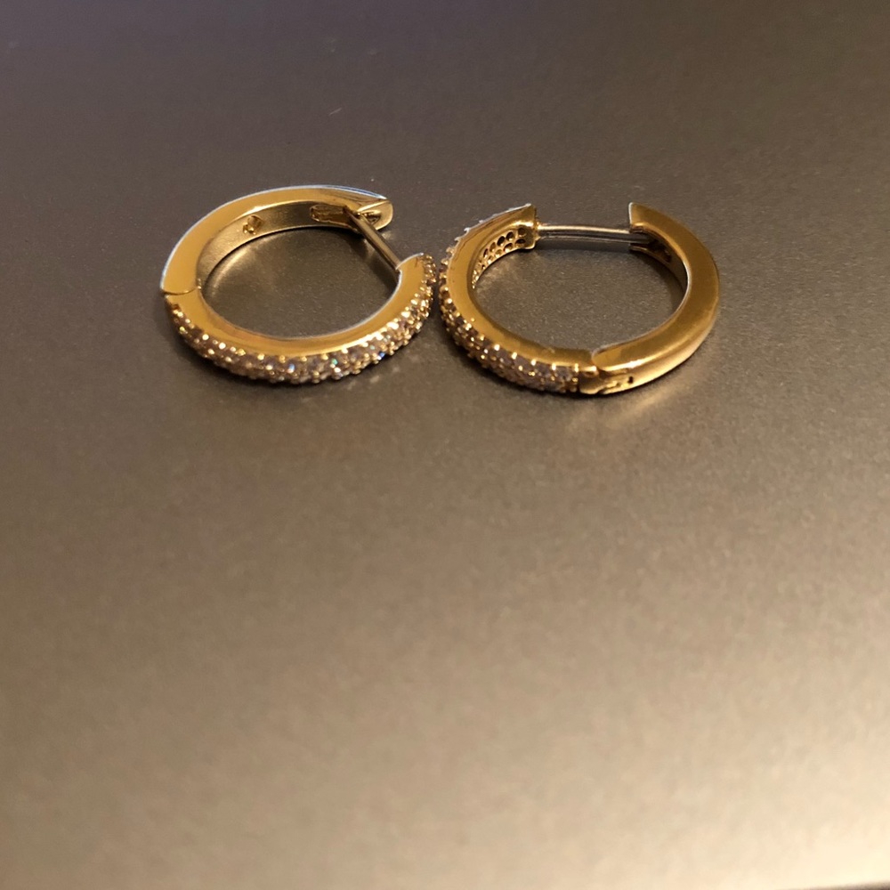 Kate spade hoop earrings